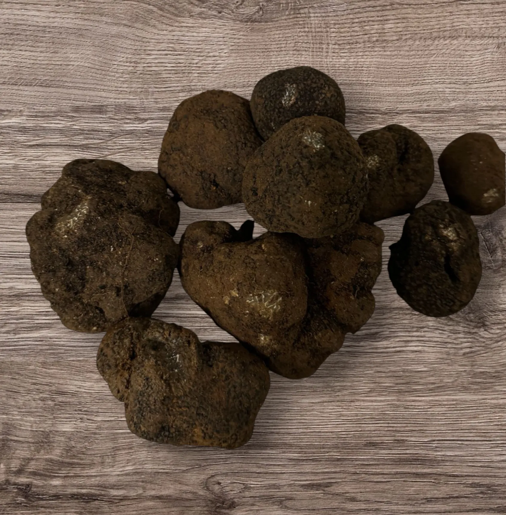 TRUFA NEGRA de invierno (melanosporum) Fresca. Bajo pedido Whats app 692761314