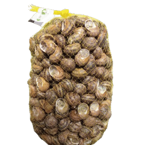 5 KG Caracoles frescos Helix Aspersa Müller (Bove)